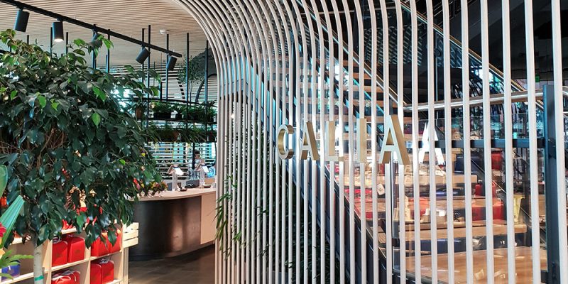 Calia-melbourne-timber-look-aluminium-curved-battens-main